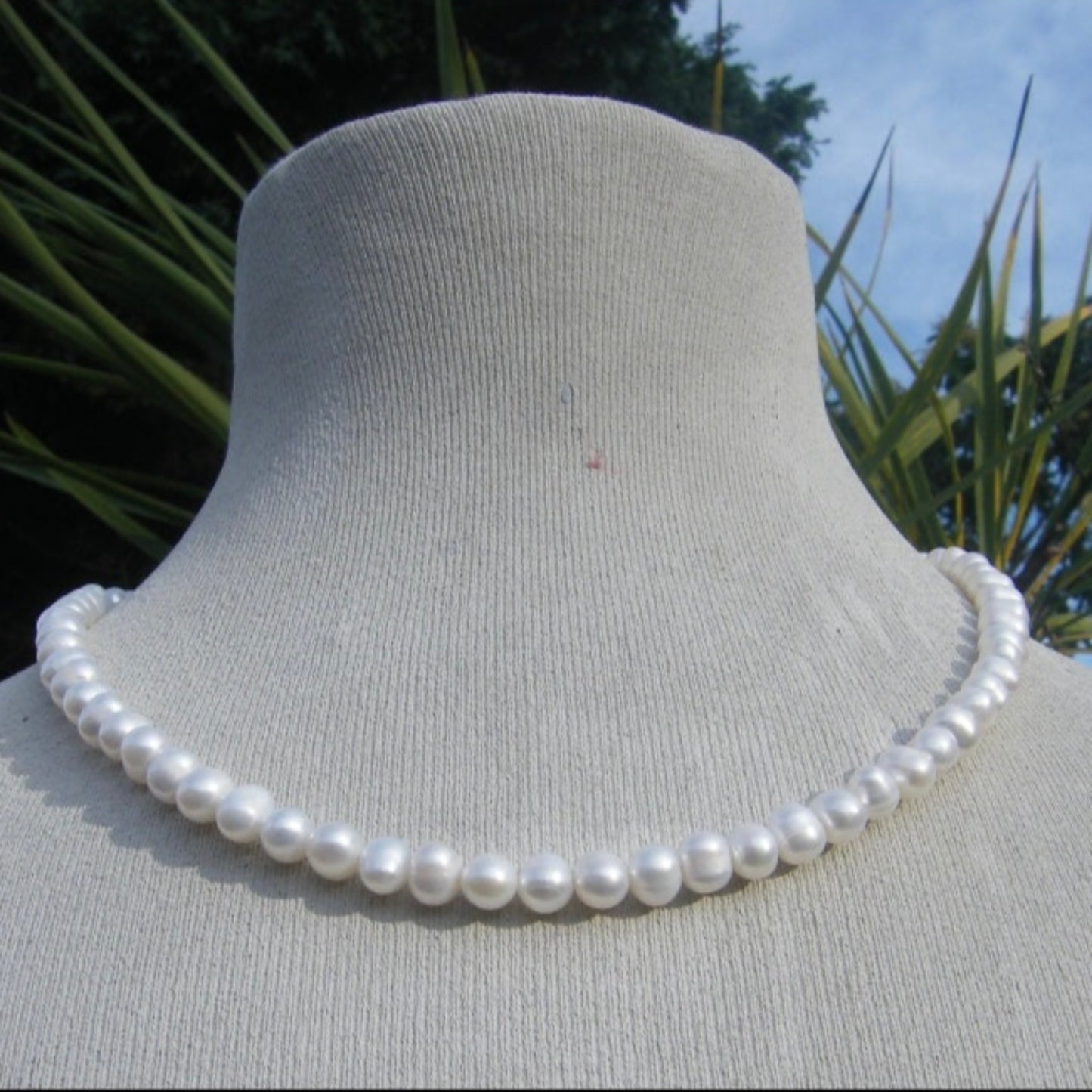 Freshwater Pearl Necklace